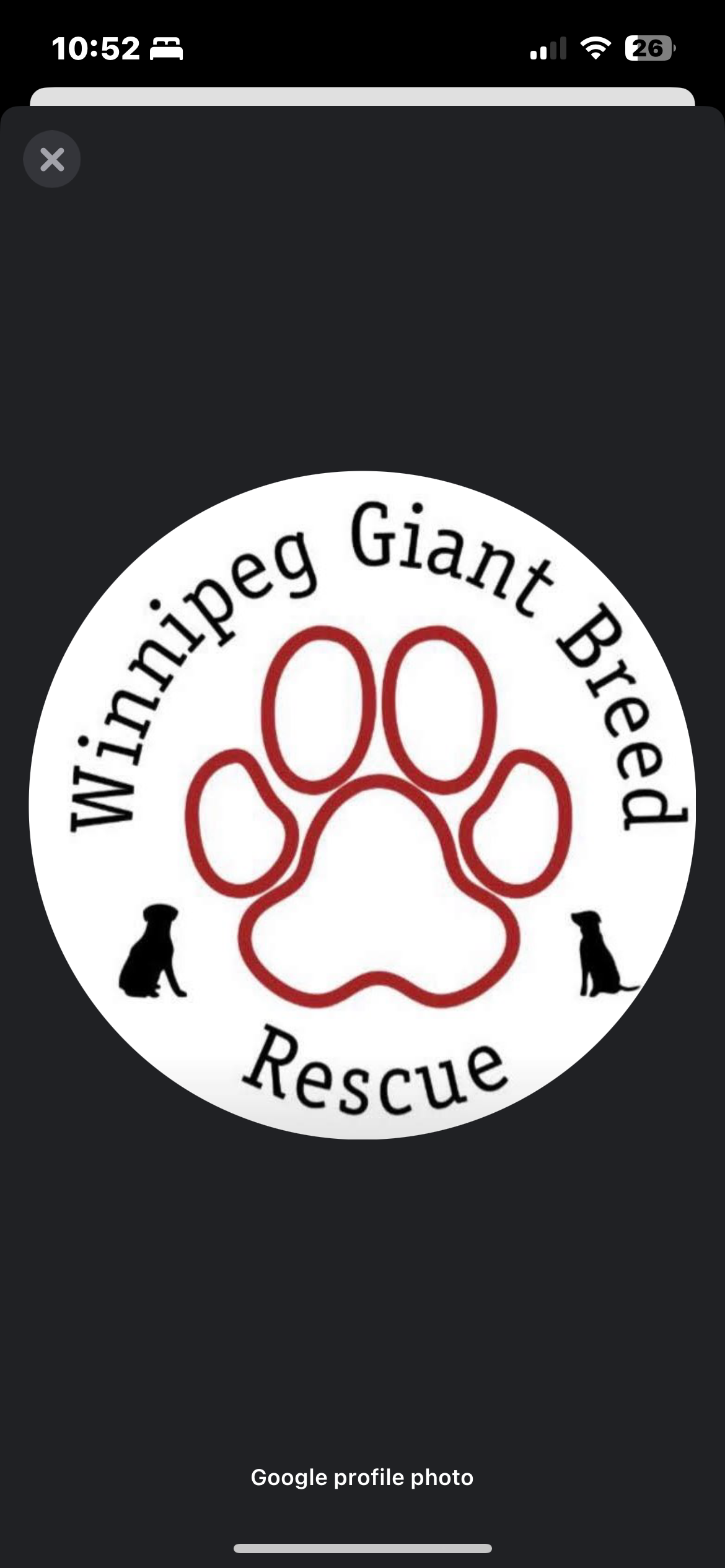 Winnipeg Giant Breed Rescue