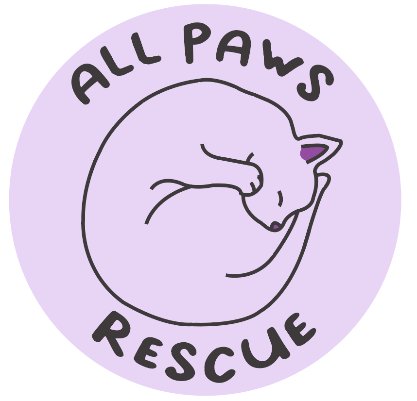 All Paws Rescue Sipology Fundraiser