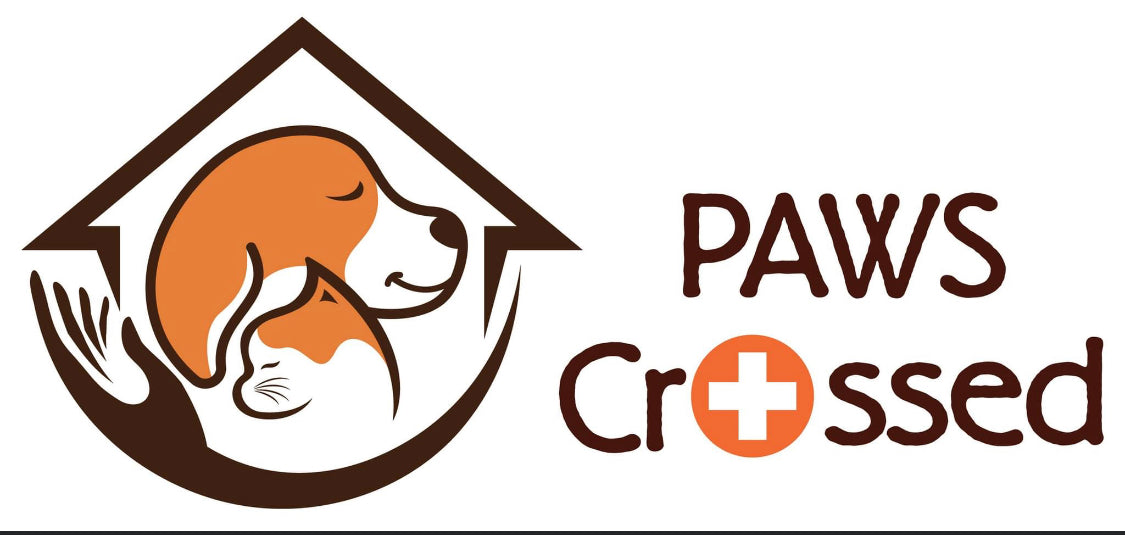 Paws Crossed Animal Shelter - A Pup of Tea