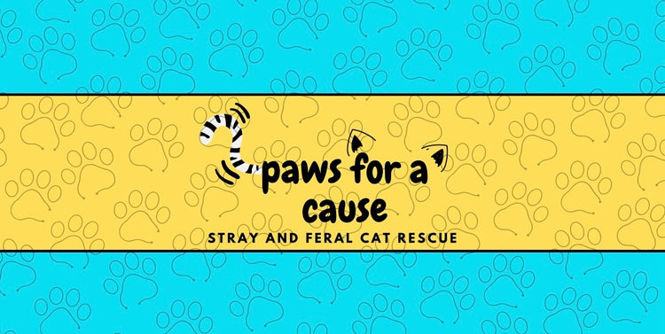Paws For A Cause Cat Rescue