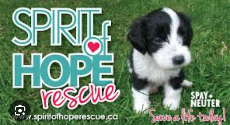 Spirit of Hope Rescue Summer 2024