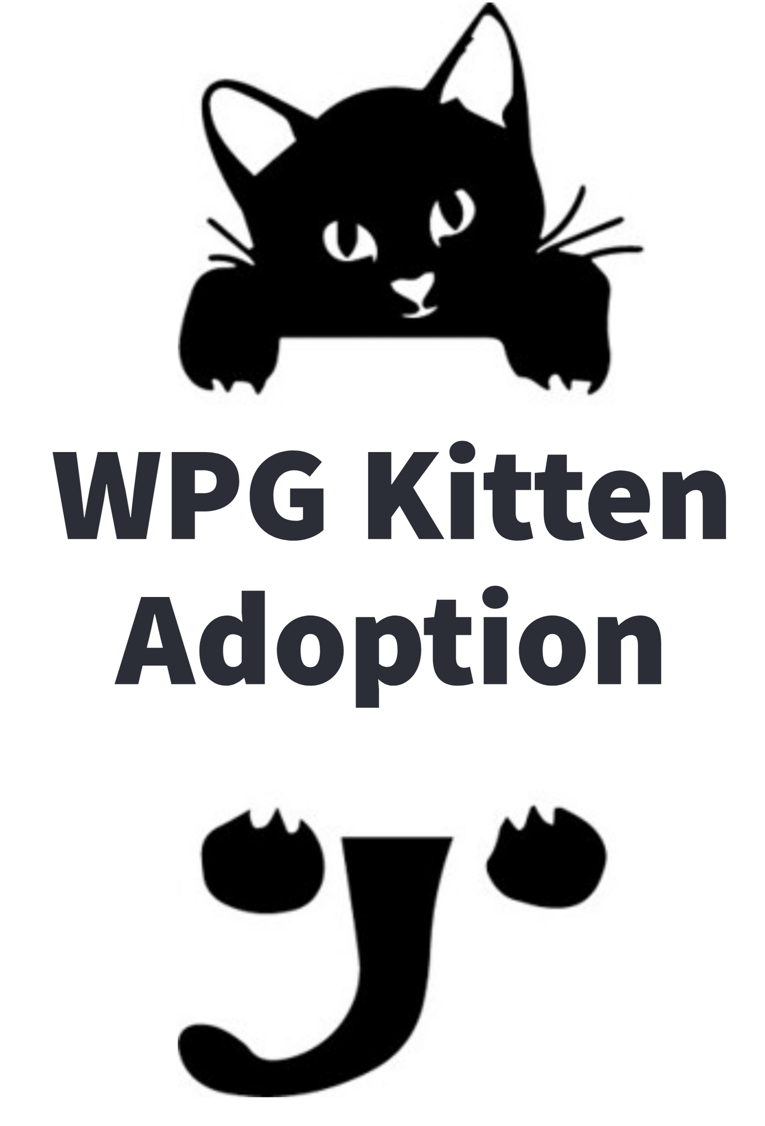 Winnipeg Kitten Adoption
